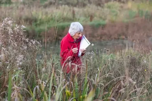 Dr Steph Tyler Wonastow Ponds